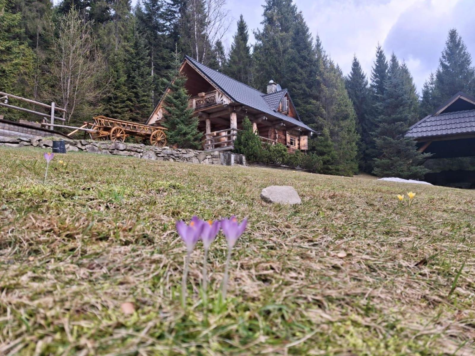 Villa Lesna Bacowka Neumarkt Exterior foto